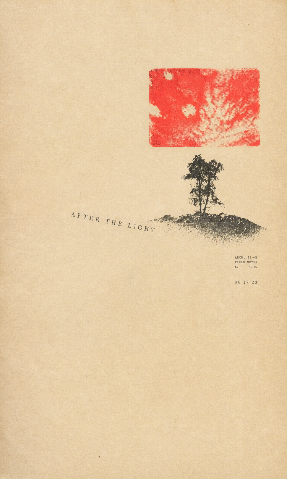 After the Light — lone tree and sunset zine poster